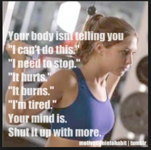 Stupid Fitness Memes