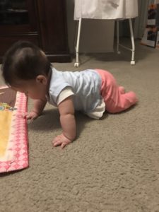 Baby Crawl
